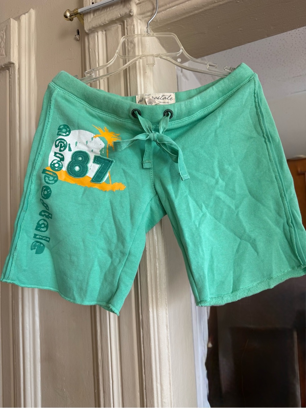 Vintage Aeropostale 1987 mint green graphic sweat shorts
